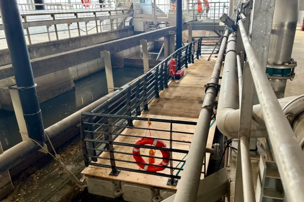 location-ponton-flottant-milieu-confié-barge