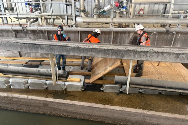 11-location-ponton-flottant-milieu-confié-bargejpg