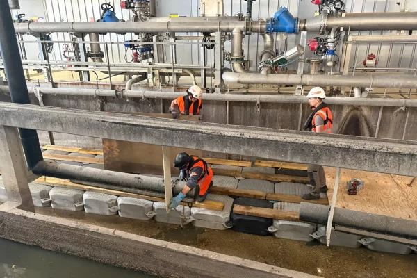 14-location-ponton-flottant-milieu-confié-bargejpg