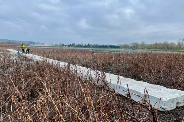 8-location-ponton-marecage-plateforme-barge-fluvial-chantierjpg